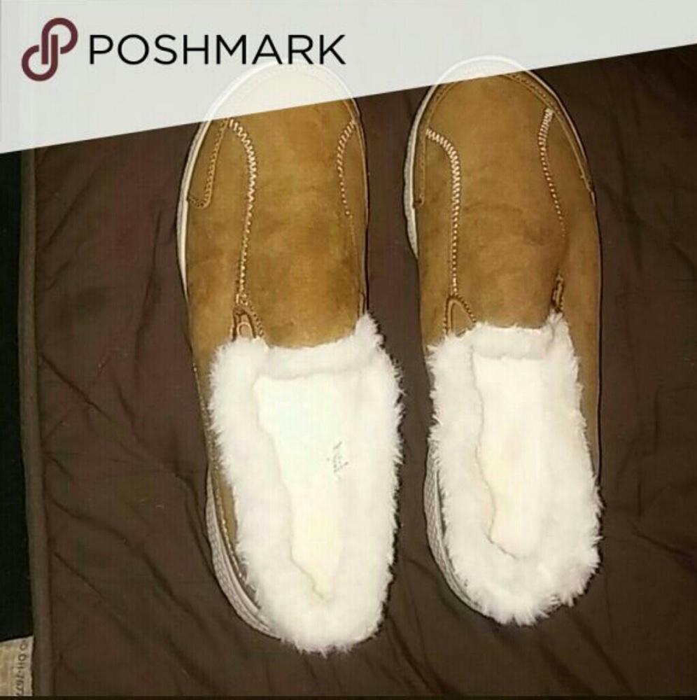 Danskin size 9 brand new Suede Shoes